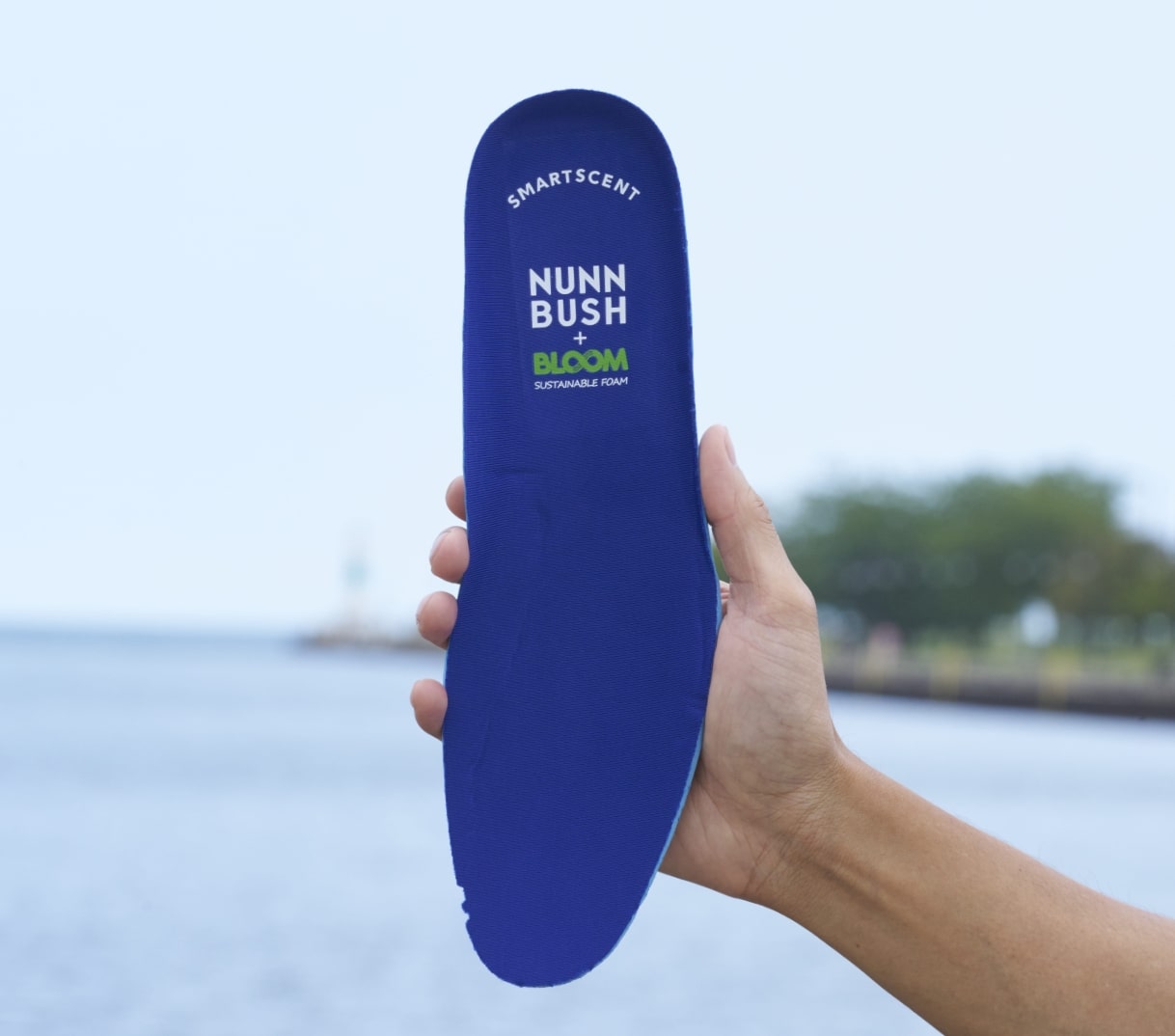 Image features the Bloom footbed with water in the background.